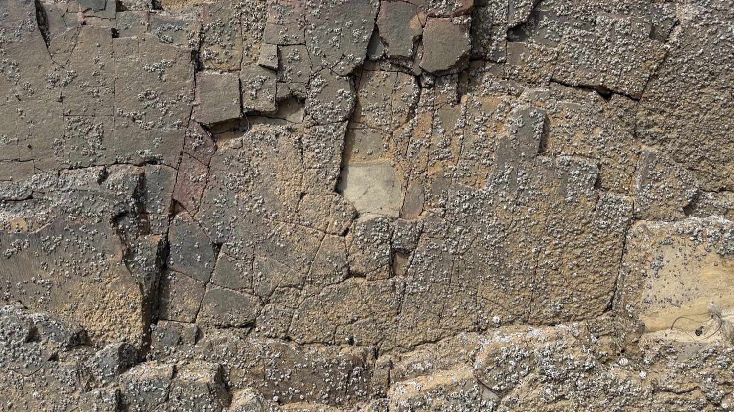 Fractured coastal rock, Crystal Cove