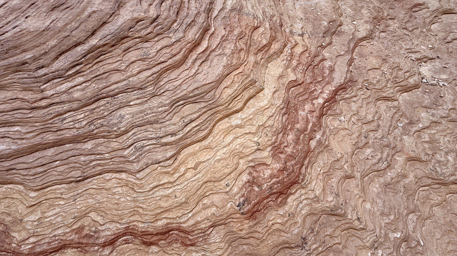 Wet sandstone with flowing sediment bands and one dark red seam